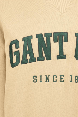 Felpa oversize - Beige