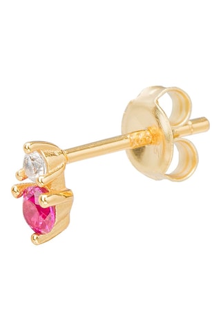 Oorbel Zilver Doublé Geelgoud