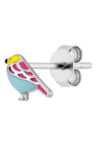 Puce Pajarito - Argent