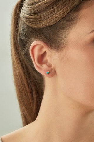 Puce Pajarito - Argent