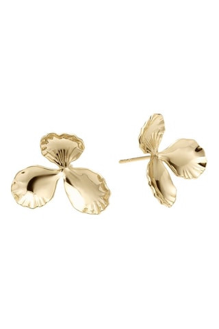 Boucles d’oreilles Printemps - Plaqué or jaune et argent