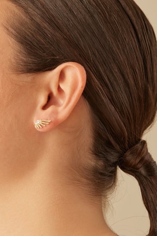 Puces Paraná - Argent plaqué or jaune 