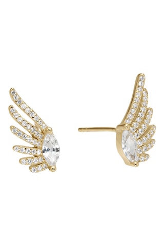 Puces Paraná - Argent plaqué or jaune 