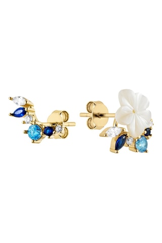 Puces - 
Argent doré à l'or fin jaune