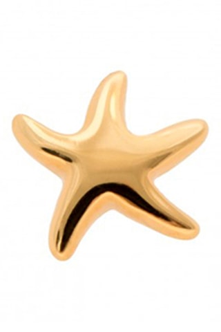 Oorbel Zilver Doublé Geelgoud