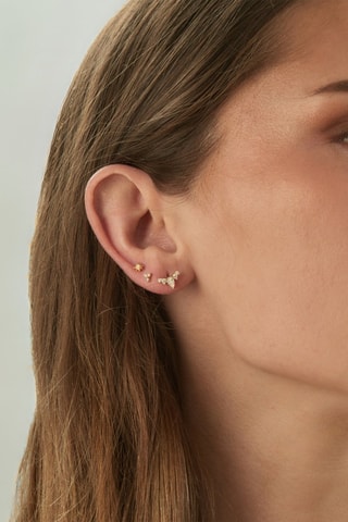 Puce Princesse - 
Argent plaqué or jaune et zircons