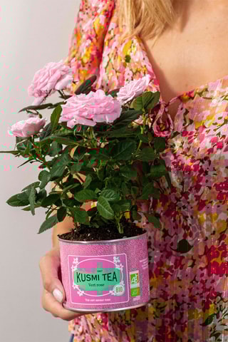 Té verde rosa ecológico - Lata de metal - 100 g