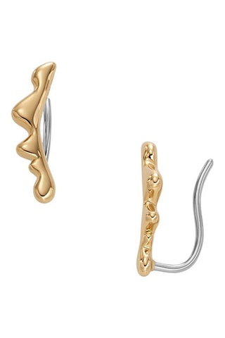 Puces - Doré et argenté