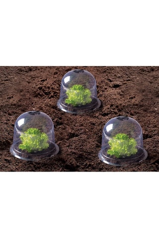 12 campanas para lechuga - 25,5 x 20 x 25,5 cm