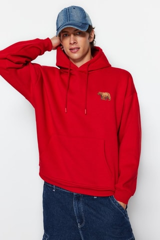 Sudadera polar con capucha - Rojo y marrón