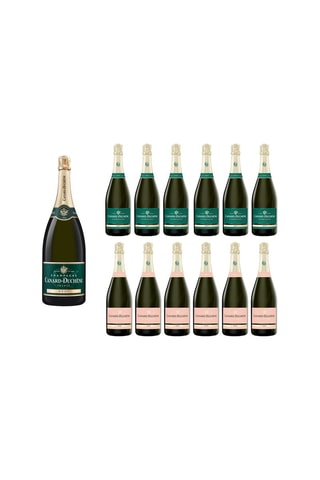 6 bouteilles de Champagne brut 6 x 75 cl, 6 bouteilles de Champagne rosé 6 x 75 cl et Magnum Brut 1,5 l offert