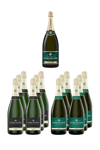 6 bouteilles de Champagne brut 6 x 75 cl, 6 bouteilles de Champagne Vintage 2015 6 x 75 cl et Magnum Brut 1,5 l offert