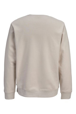 Sweat relaxed en coton biologique - Beige