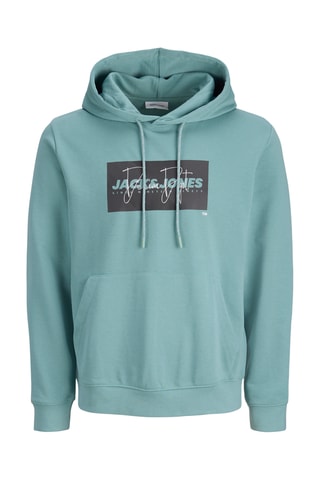 Sweat regular en coton biologique - Vert d'eau