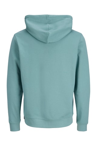 Sweat regular en coton biologique - Vert d'eau