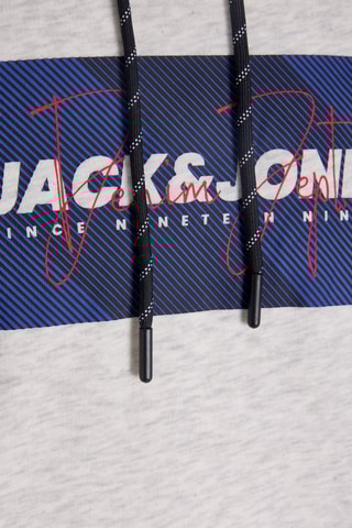 Sweat regular en coton biologique à capuche - Gris clair chiné