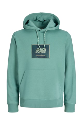 Sweat regular en coton biologique - Vert d'eau