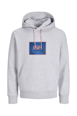 Sweat regular en coton biologique - Gris clair chiné