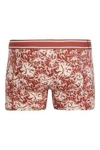 3 boxers - Marron et bleu foncé