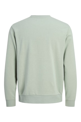 Sweat regular - Vert clair