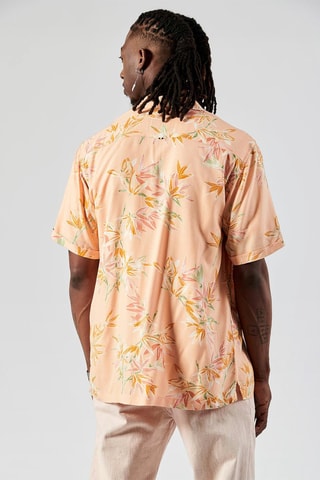 Camicia Royal - Albicocca