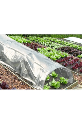 Serres tunnels de forcage avec housse 4M toutes saisons - Lot de 3