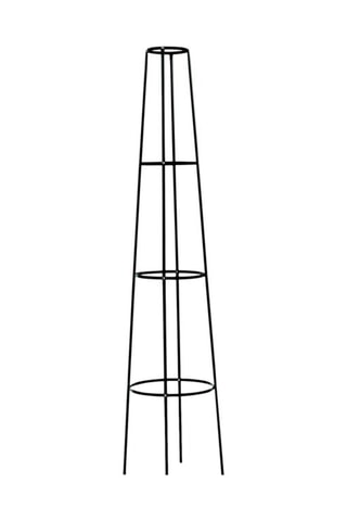 Tuteur pour rosier - 200 cm