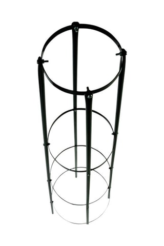 Tuteur pour rosier - 200 cm