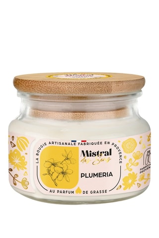 Plumeria - Vela perfumada