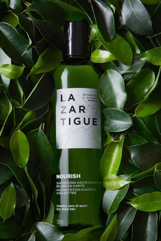 Nourish High Nutrition Shampoo - Droog en Dik Haar - 250 ml