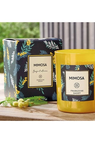 Bougie parfumée - Mimosa