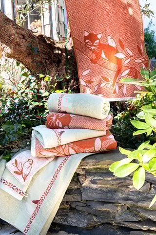 2 gants de toilette Chats Branche - Beige