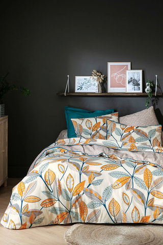 Drap-housse en coton Cascade Nature - 52 fils/cm² - Taupe clair