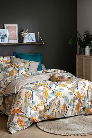 Drap-housse en coton Cascade Nature - 52 fils/cm² - Taupe clair