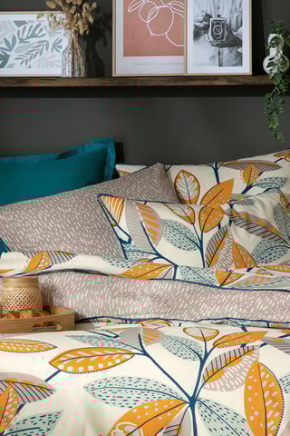 Drap-housse en coton Cascade Nature - 52 fils/cm² - Taupe clair