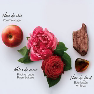 Crème divine - In Red - Orientale floreale legnosa - Corpo - 200 ml