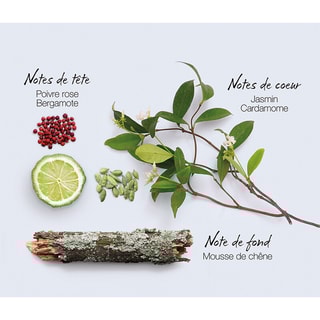 Discovery Mauboussin - Eau de parfum 100 ml - Amadeirado, Aromático, Hesperide