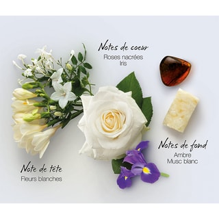 Le Secret d'Arielle Eau de parfum - Floreale - 100 ml