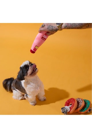 Coffret jouets pour chien - 2 pièces