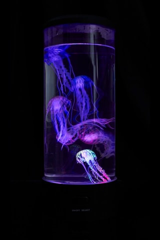 Lampe d’ambiance - Noir