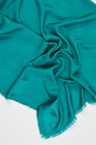 Fular de seda y lana Logo - Verde claro