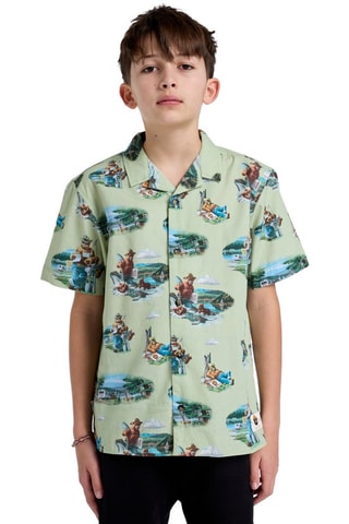 Camisa - Beige y verde claro