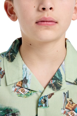 Camisa - Beige y verde claro