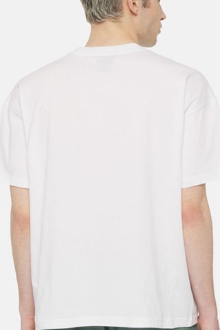 Camiseta regular fit - Blanco - Dickies