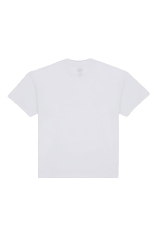 Camiseta regular fit - Blanco - Dickies