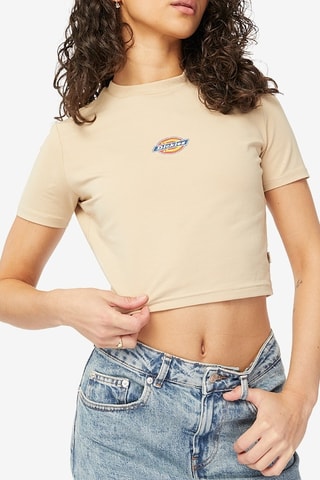Crop top - Beige - Dickies
