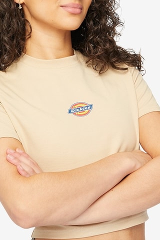 Crop top - Beige - Dickies