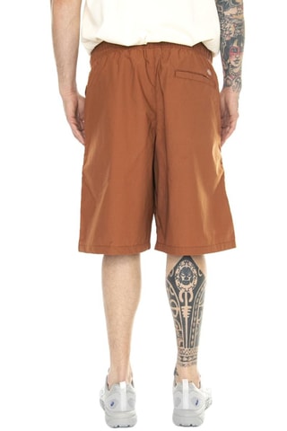 Short regular fit - Beige - Dickies