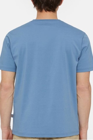Camiseta - Azul cobalto - Dickies