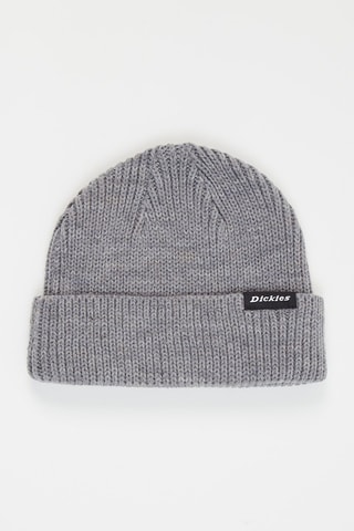 Gorro Woodworth - Gris - Dickies